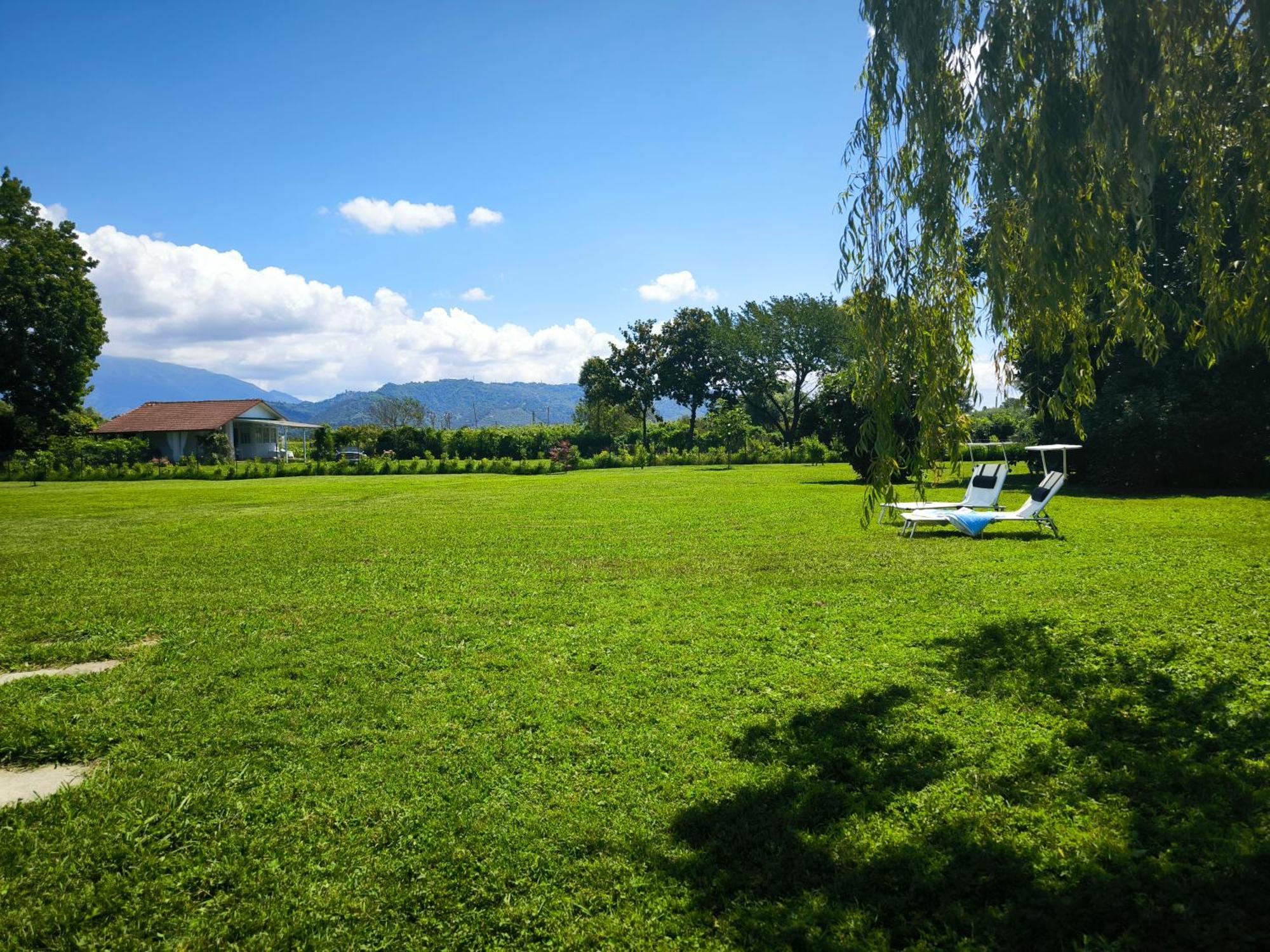 טונפאנו Versilia - Pietrasanta - Le Colmate Guesthouse מראה חיצוני תמונה