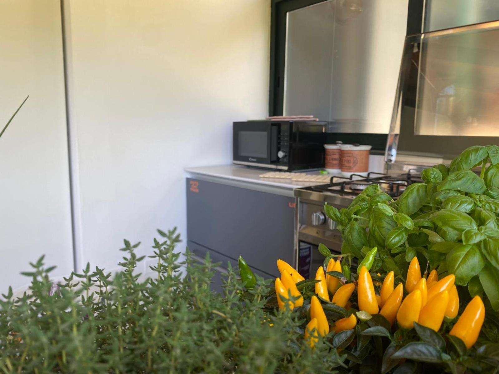 טונפאנו Versilia - Pietrasanta - Le Colmate Guesthouse מראה חיצוני תמונה